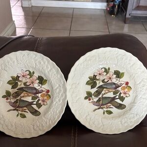 Alfred Meakin England Floral Birds of America Salad Plates 9" #367.  9"
